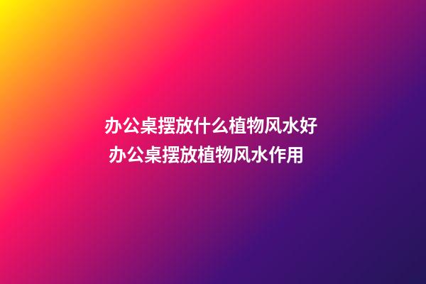 办公桌摆放什么植物风水好  办公桌摆放植物风水作用